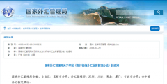 远大期货外汇局允许银行为个人“海淘”提供电