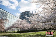 远大期货欧洲议会选举英自民党推新口号:＂脱欧