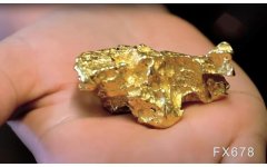 美通胀创40年来最高，专家称未来两年金价升至