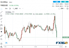 6.5亿美元大单砸盘！美联储未来“二把手”意外