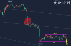 万锦晟7.10周评：黄金顺势空收获丰盛，下周黄金