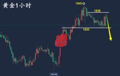 万锦晟3.3黄金酝酿大发作，黄金周线收官或有下