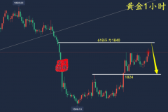 万锦晟3.10非农黄金一锤定音，黄金反弹不改大空