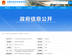《合肥市加速软件产业生长推进软件名城确立若