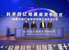 合肥又一支百亿母基金来了-国际黄金
