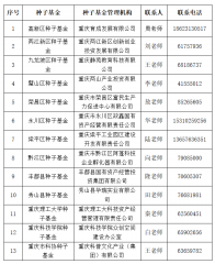 投向科技型企业，重庆市种子投资指导基金申请