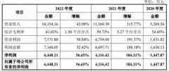 半导体掩模版赛道催生一IPO