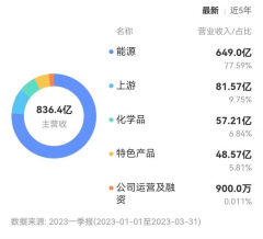 百年动力巨子，豪赌「新石油」