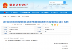 湖北省政府出资引导基金管理办法(试行)