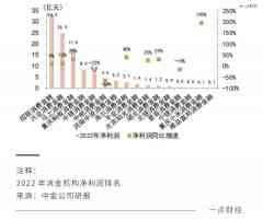 激荡十三年，消费金融进入「体会争夺战」的下