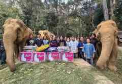 「泰国李佳琦」在TikTok吸金,月入10万美金