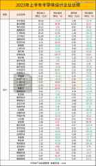 2023半导体年中成就出炉-香港期货