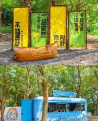 抱年轻人大腿,海底捞又行了?