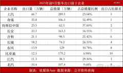 国产电动车集体「卷向」欧洲