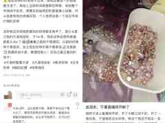 年轻人迷上珍珠直播，开蚌开出的是「泡沫」？