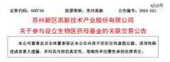 苏州60亿母基金来了-外盘期货