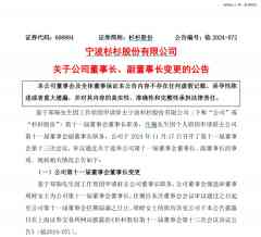 660亿「杉杉系」换了女掌门-香港期货