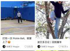 匹克球,对年轻人来说刚刚好-商品期货